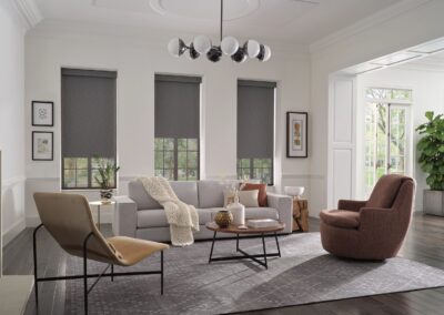 Hunter Douglas Duolite